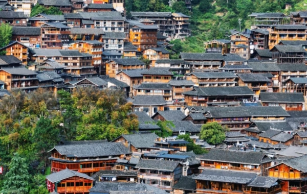 일 4: 칼리 (B, L)