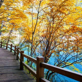 High Speed Rail Jiuzhaigou& Tour di Huanglong