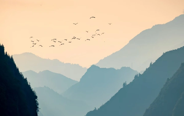 일 7 : 양쯔강 크루즈 (B, L, D)