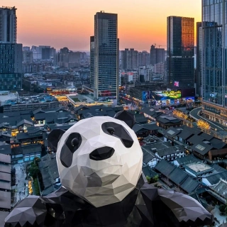 청두 & 린 클래식 투어