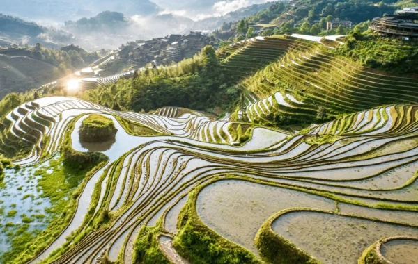 일 4: 양수오 -- 롱 sheng 