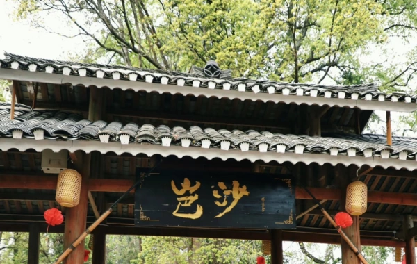 일 7: Zhaoxing -- 룽장