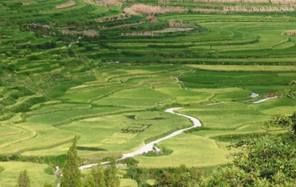 일 8: Rongjiang -- 칼리 