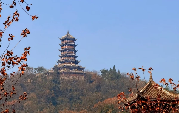 Day 5 : 청두 출발