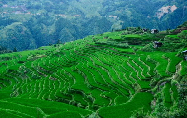 День 3: Гуйчжоу