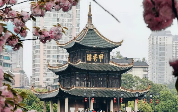 日 日 1: 桂陽の到着