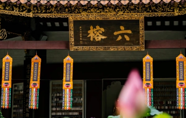 Day 3 : 심천 - 광저우 (고속 철도)