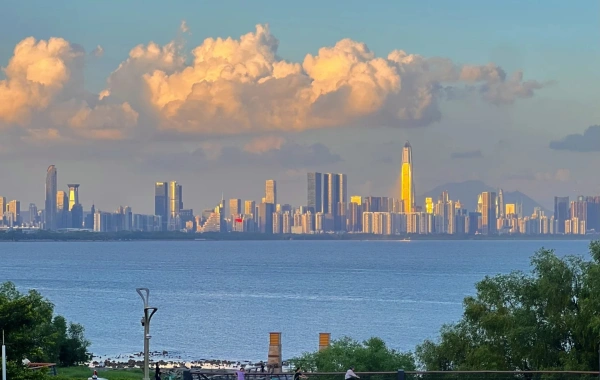 Day 1 : 심천 도착 - 무료 시간