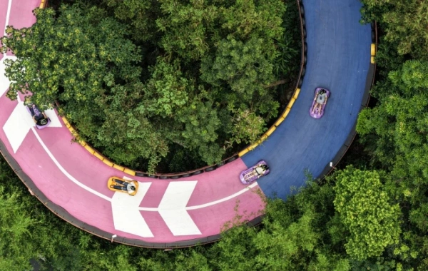 اليوم الخامس: تشينغيان