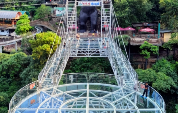 اليوم الخامس: تشينغيان