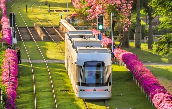 اليوم السادس: غوانغزو ديبر