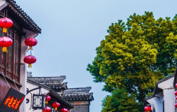 일 7: Suzhou-Shanghai