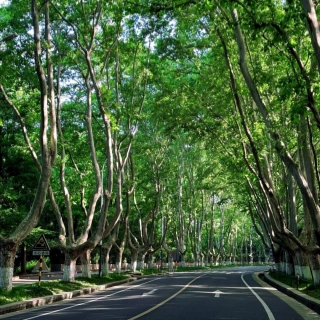 3 giorni a Nanchino Tour storico e culturale