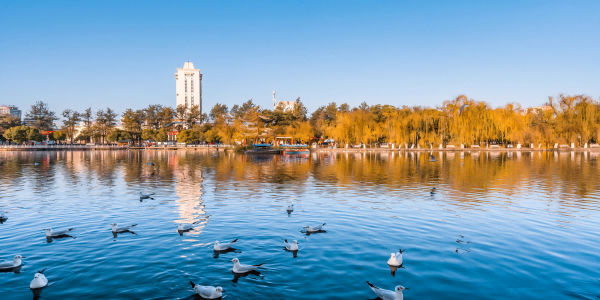 李江 Shangri la Lugu湖 7日間ツアー