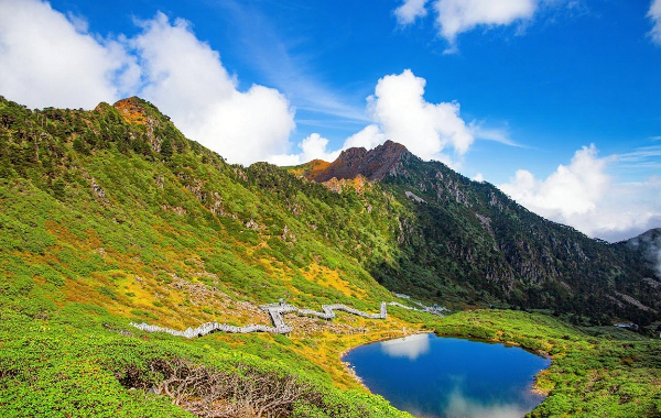 1 デイ・ダリ・イン・ディープス・ツアー