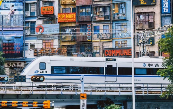 اليوم الخامس: شينزين