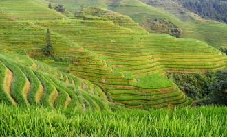 Jour 4: Départ de Guilin