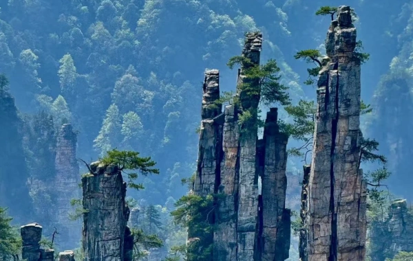 Giorno 8: Zhangjiajie