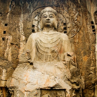 1 день Longmen Grottoes & Shaolin Храм Культурный тур