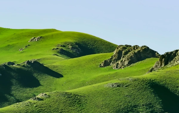 Day 1: Qinghai Arrival