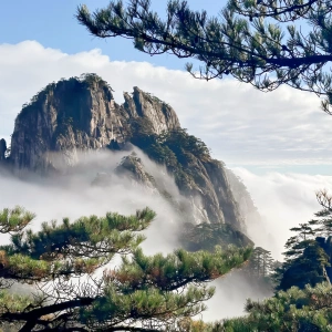 Huangshan Wuyuan Wangxiangu Tour de 4 días