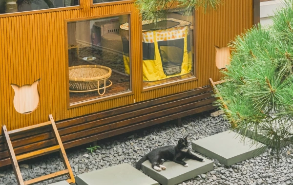 День 2: Шанхай-Шанграо