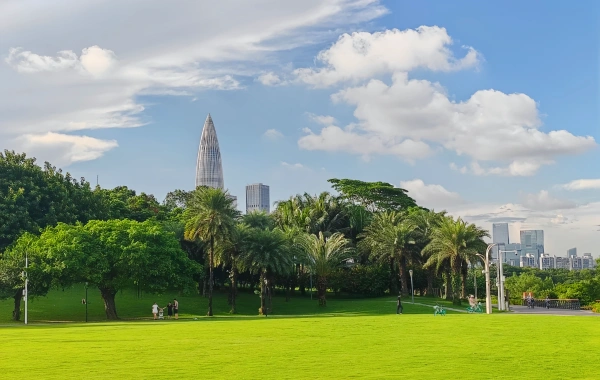 일 1: 심천 도착