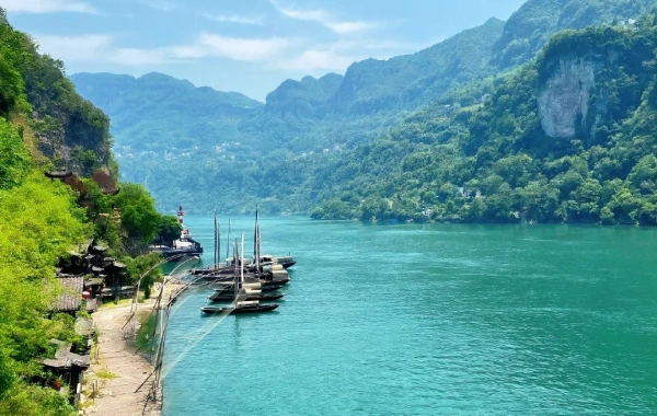 День 8: Президент No6 Круиз