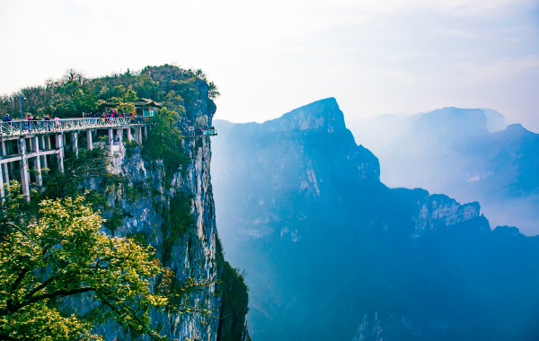 اليوم السادس: زانغجيجي