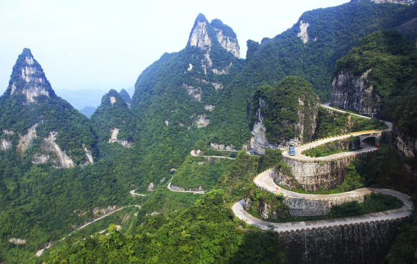 اليوم السابع: زانغجيجي ديبارتوري