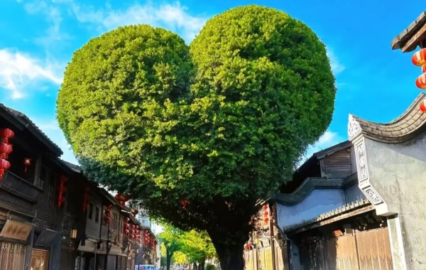 Giorno 3: Fuzhou--Pingtan