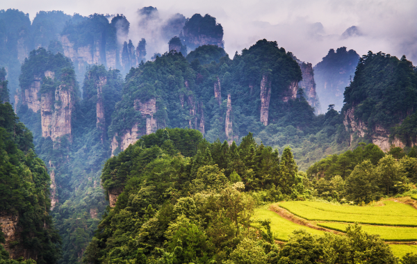 اليوم الخامس: غوانغزو - زانغجي