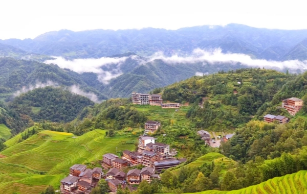 Giorno 2: Terrazzo di riso Longji