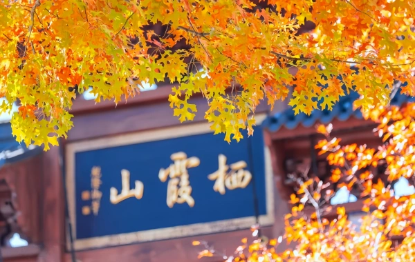 Tag 1: Nanjing Ankunft