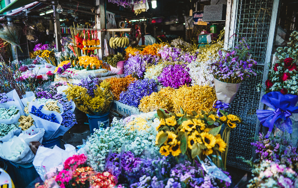Jour 3: Arrivée de Guiyang