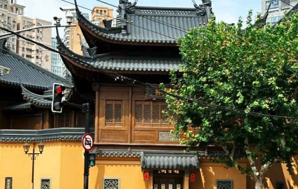 اليوم التاسع: شنغهاي