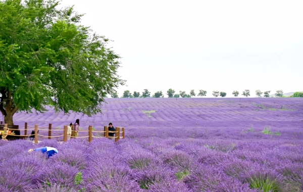 اليوم الخامس: