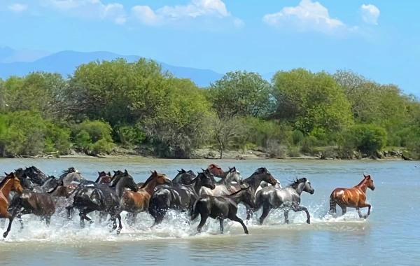 اليوم الخامس: