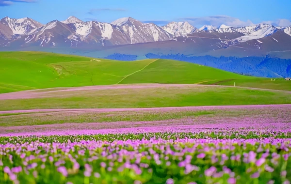 اليوم السادس: