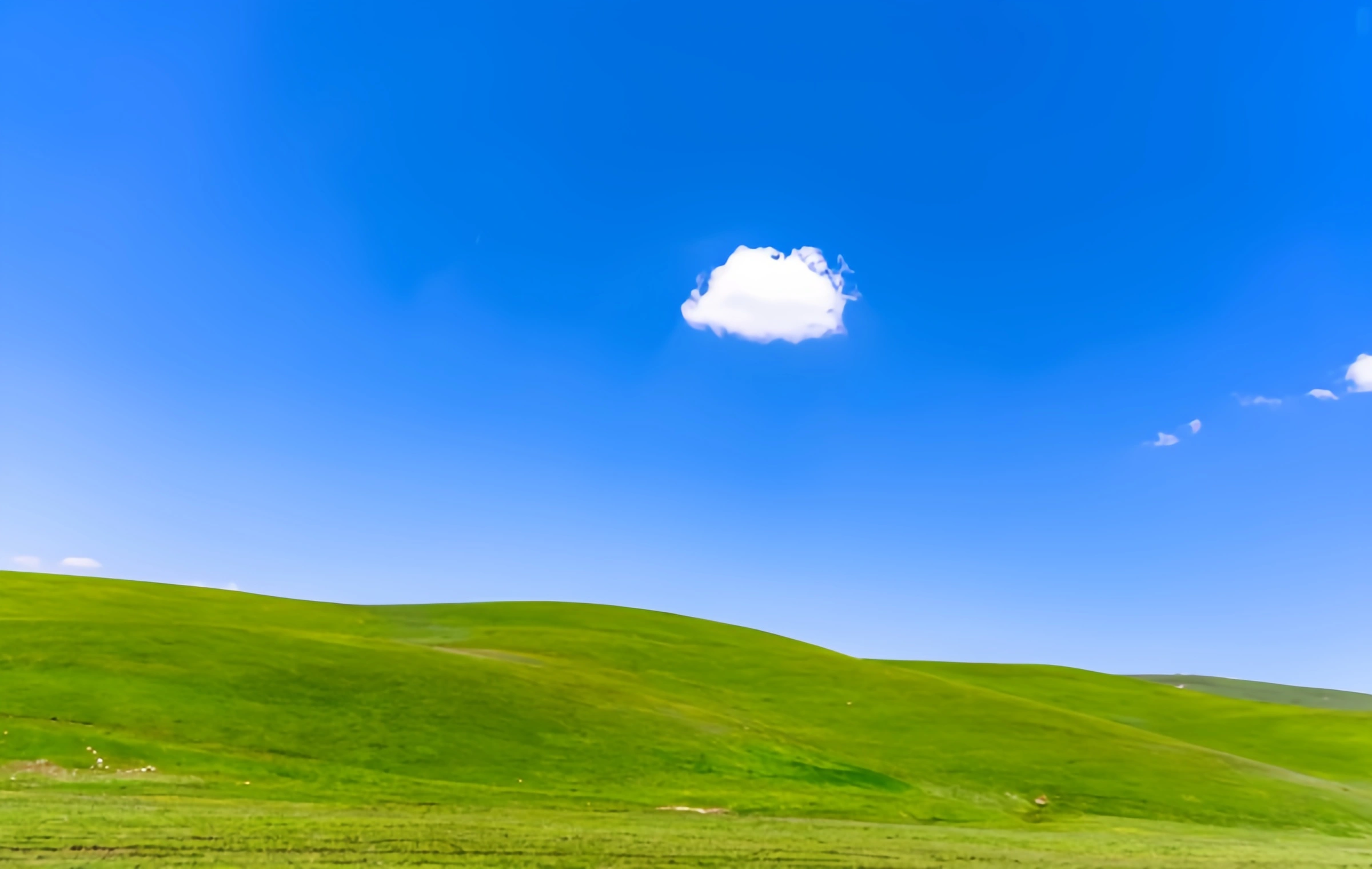 اليوم السادس: