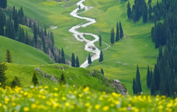 اليوم السادس: