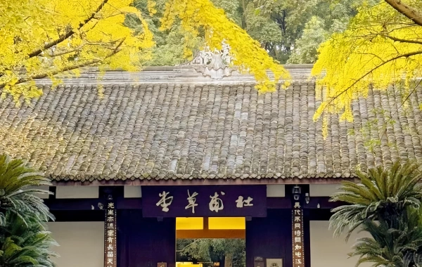 Day 1: Chengdu Arrival