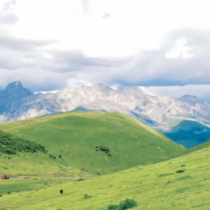 Тур по Панде и горе Сигуньян