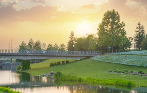 День 8: Отправление из Шанхая