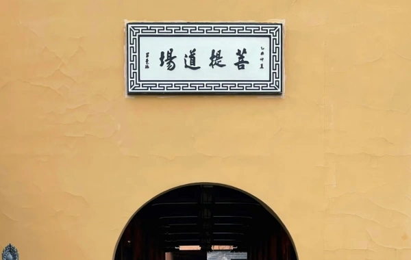 Día 1: Llegada de Shanghai