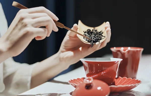 1일 청두 문화 투어