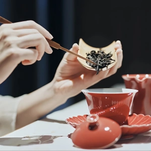 1일 청두 문화 투어