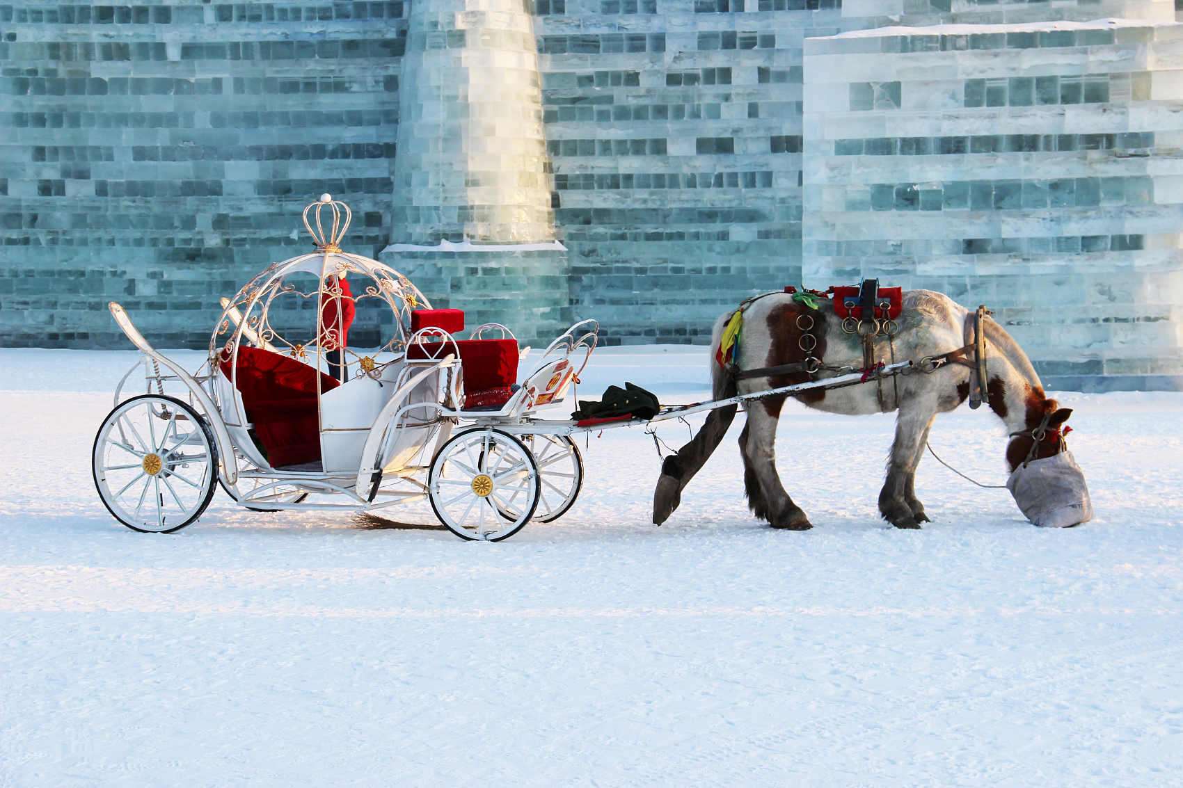 일 1: 하얼빈 도착