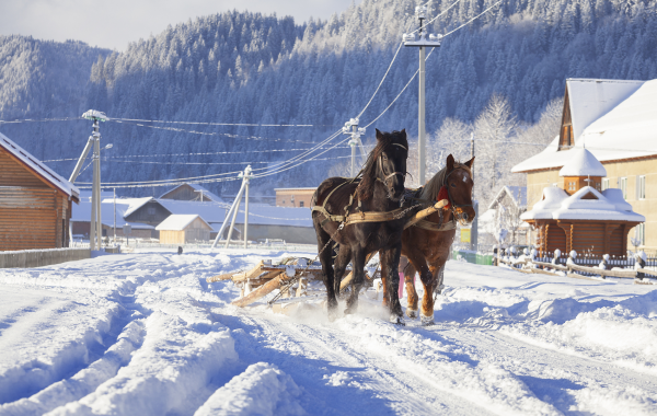 일 7 : Yanji 출발