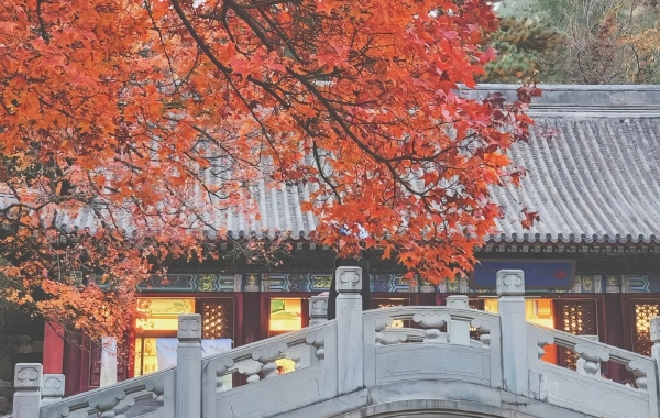 День 4: Пекин